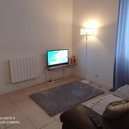 Studio Spacieux Confortable Recemment Renove * 阿尔比